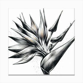 Bird of paradise flower 1 Canvas Print