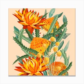 Orange Australian Native Flowers Square Canvas Print