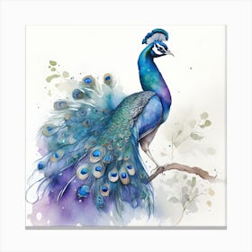 Peacock Watercolour 1 Canvas Print