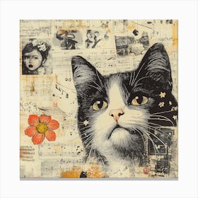 Cat On Paper Canvas Print