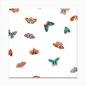 Colorful Moths And Butterfly Pattern On White Square Canvas Print