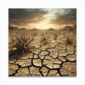 Arid Landscape 11 Canvas Print