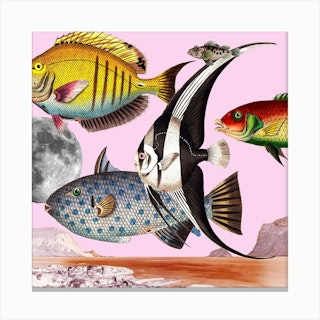 Fish World Pink Square Canvas Print