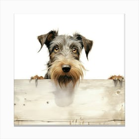 Schnauzer 28 Canvas Print