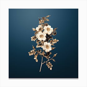 Gold Botanical Thornless Burnet Rose on Dusk Blue n.0807 Canvas Print