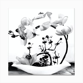 Orchid Art Black And White Canvas Print