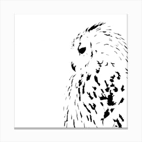 Snowy Owl White Series Square Canvas Print