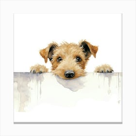 Irish Terrier 12 Canvas Print