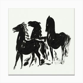 Three Horses Canvas Print