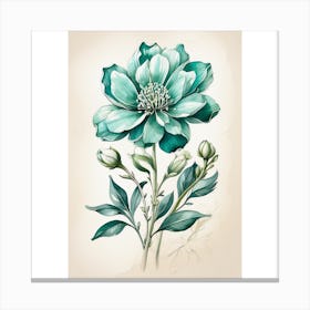 Peony 1 Canvas Print