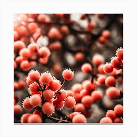 Coral Champagne Cherry Tree Photography (3) Canvas Print
