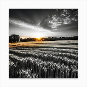 Sunset In The Field 21 Canvas Print