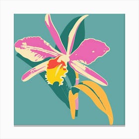 Orchid 3 Square Flower Illustration Canvas Print