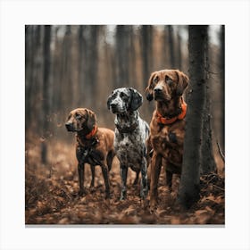 Three Dogs In The Woods 3 Canvas Print