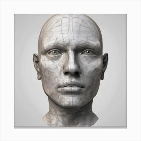 Human Head 3d Model 2 Canvas Print