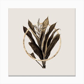 Gold Ring Cordyline Fruticosa Glitter Botanical Illustration n.0251 Canvas Print