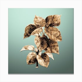 Gold Botanical White Mulberry Plant on Mint Green n.4100 Canvas Print