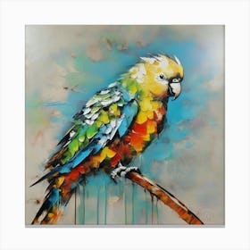 Parrot of Budgerigar Canvas Print