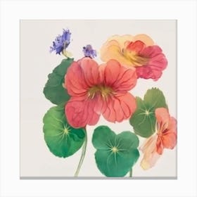 Pansies Canvas Print