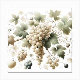 White Grapes and Vine 3 Canvas Print