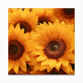 Sunflowers 2 Canvas Print