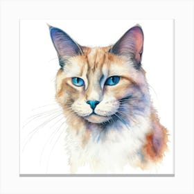 Lambkin Cat Portrait 3 Canvas Print