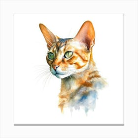 Arabian Mau Cat Portrait 2 Canvas Print