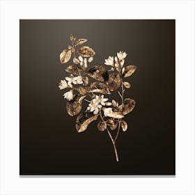 Gold Botanical Snowdrop Bush on Chocolate Brown n.4314 Canvas Print