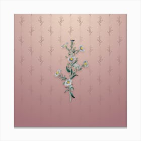 Vintage Glaucous Aster Flower Botanical on Dusty Pink Pattern Canvas Print