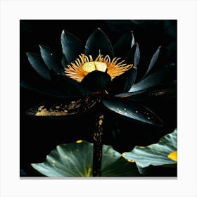 Lotus Flower Canvas Print