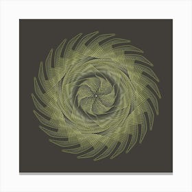 Spirographica in B Minor Canvas Print