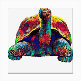 Galapagos Turtle Canvas Print