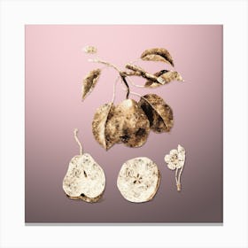 Gold Botanical Pear on Rose Quartz n.2139 Canvas Print