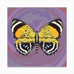 Mechanical Butterfly The Callicore Aegina On A Purple Background Canvas Print