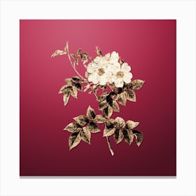 Gold Botanical White Rosebush on Viva Magenta n.1380 Canvas Print