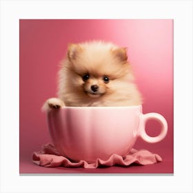 Pomeranian Puppy In A Cup 1 Canvas Print