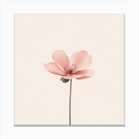 Pink Flower Canvas Print