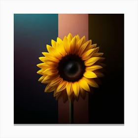 Sunflower 6 Canvas Print