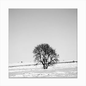 Arbre dans La Prairie Canvas Print