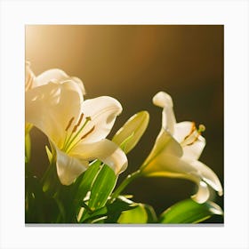 Easter Lilies In A Sunlit Church Vibrant Canvas Print