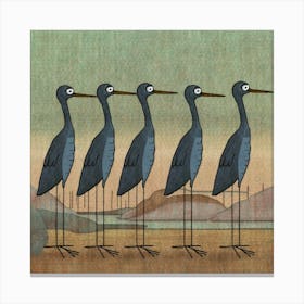 Herons 1 Canvas Print