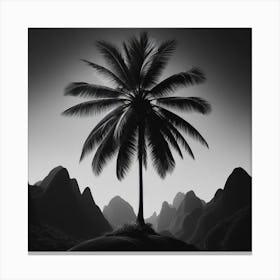 Palm Tree 3 Canvas Print