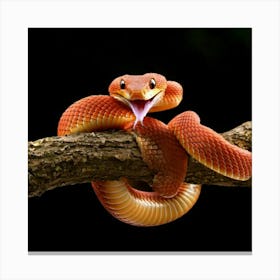 Firefly Playful Baby Snake Twisted In Surprise On Branch 35242 (2) Canvas Print