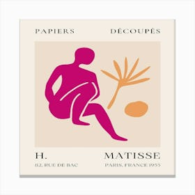 Matisse (21) Canvas Print