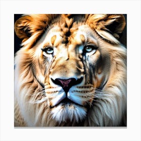 Lion Portrait 18 Canvas Print