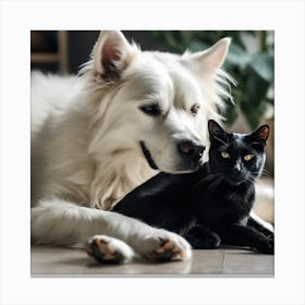 Black Cat And White Dog 4 Canvas Print