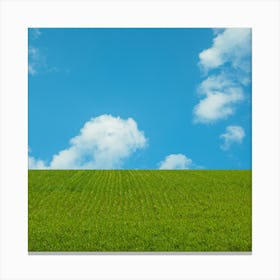 Green Field With Blue Sky 2 Canvas Print