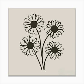 Daisies Canvas Print