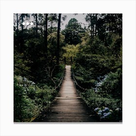 Bridge In The Woods Canvas Print