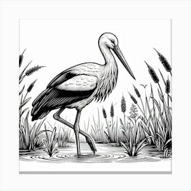 Line Art stork 3 Canvas Print